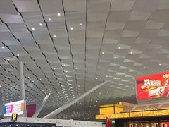 -郑州新郑国际机场-T2航站楼