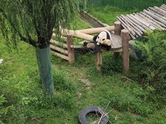 -沈阳森林动物园