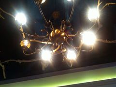 茉莉同乐烤鸭-同喜烤鸭店(光芒店)