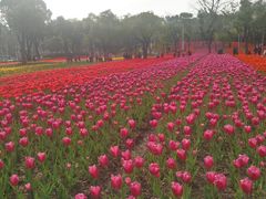 -大宁灵石公园西门票处