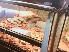 -宠物世家(仲盛世界商城店)
