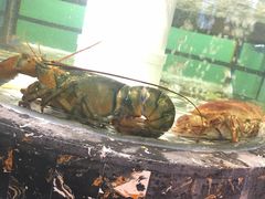 -醉湘厨艺(才华街店)