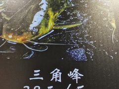-蛙一刀·麻椒鱼火锅(金仙桥店)