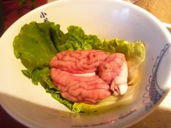 -小龙坎火锅(全球旗舰店)