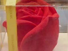 -多乐之日(五道口店)