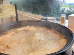 -蘑统田下·野生菌火锅