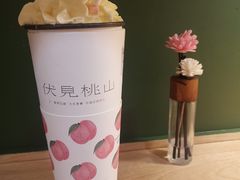 -伏小桃(明瓦廊店)