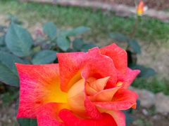 -人民公园(罗湖区)