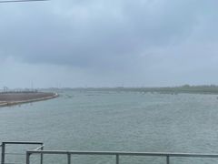 -锦尚阁烤鱼(望京新荟城店)