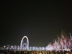 -南京眼步行桥