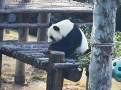 -西霞口神雕山野生动物世界