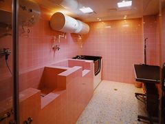 -百好乐宠物友好餐厅(朝外大街店)