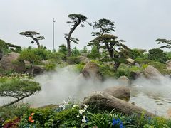 -罗红摄影艺术馆