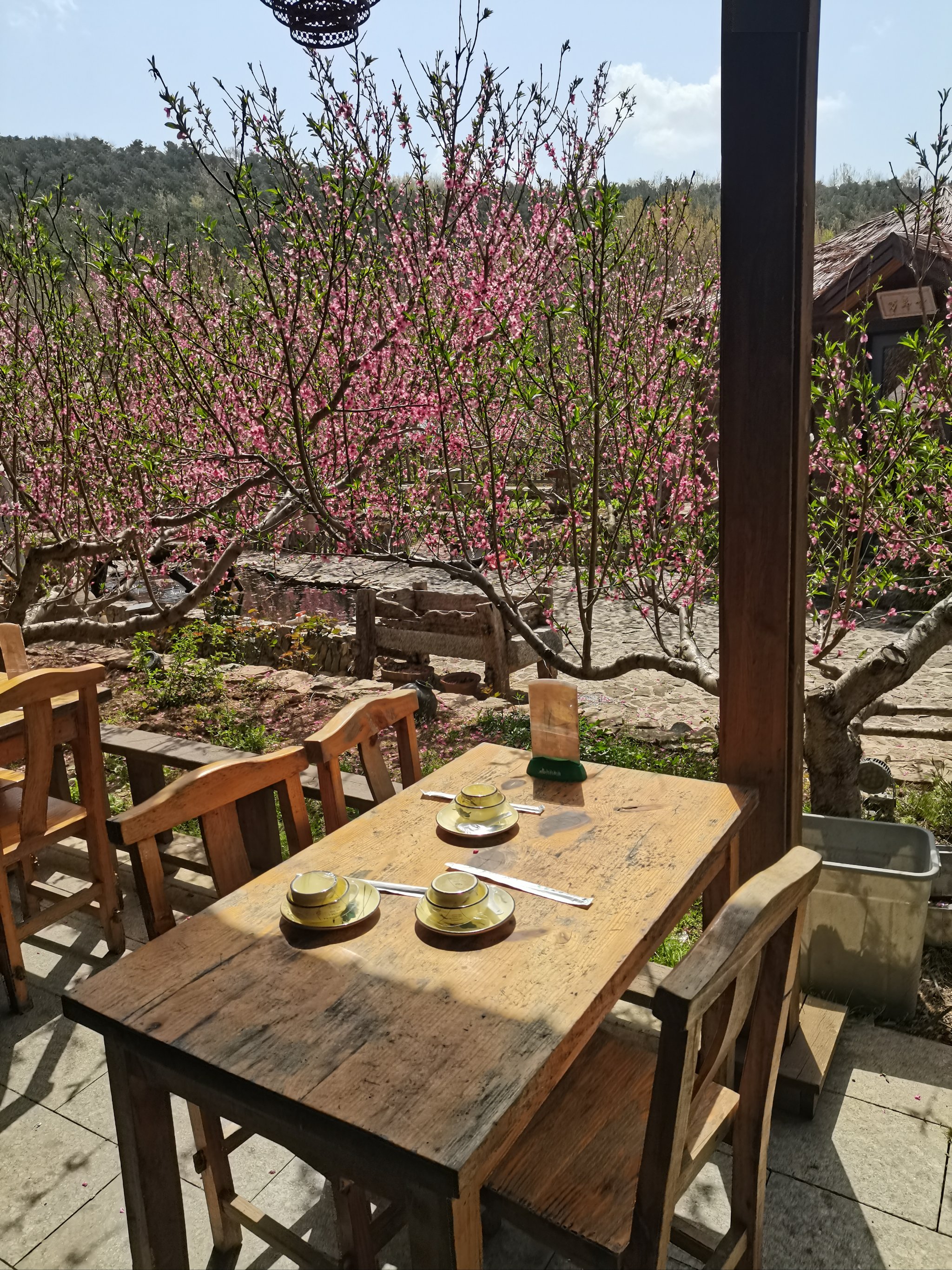 平川桃花源小镇图片