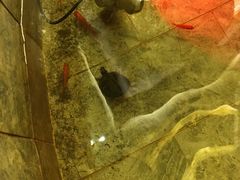 -古莲·影院足道·按摩SPA(水上温泉店)