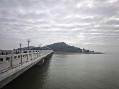 -野狸岛