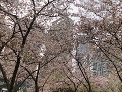 -西北湖绿化广场