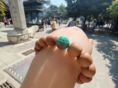 -白云观