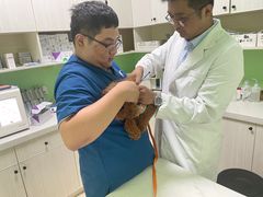 -圣宠动物医院·犬猫专科·影像中心·外科中心