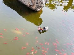 -中国翰园碑林
