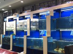 水产区-小老板海鲜酒家(董家渡店)
