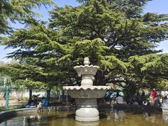 -国家植物园南园