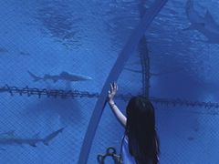 -左海海底世界