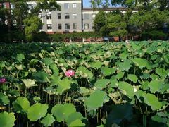 -四川大学(望江校区)