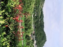 -贵阳蓬莱仙界