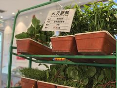 -山东宾馆·齐鲁苑餐厅