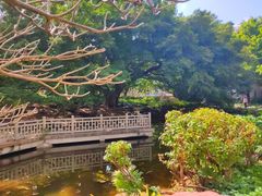 -晓港公园