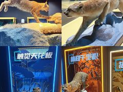 -厦门诚毅自然探索馆