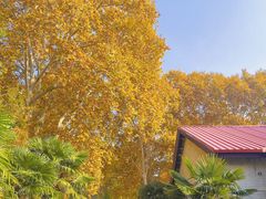 -河南省黄河迎宾馆