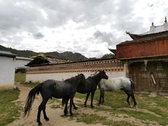 -达仓郎木寺院