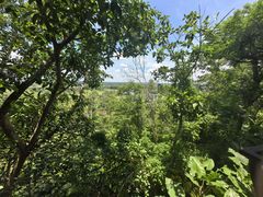 -海南文笔峰盘古文化旅游区