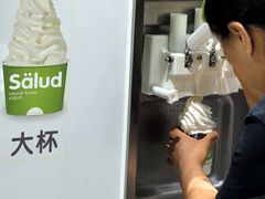 -Salud撒露欧洲冻酸奶(北苑上品店)