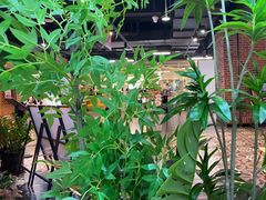 -云海肴·汽锅鸡·云南代表菜(天山百盛优客店)