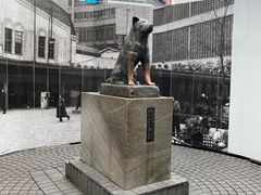 -涩谷区
