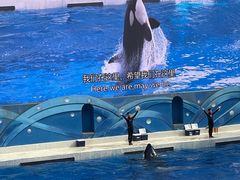 -上海海昌海洋公园