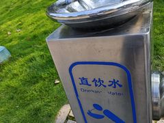 -海珠儿童公园