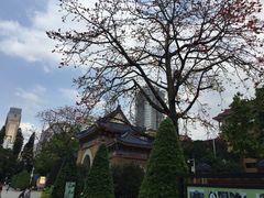 -广州中山纪念堂