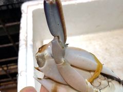 -浙C老邻舍(西城海错店)