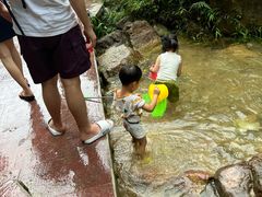 -南海湾森林生态园