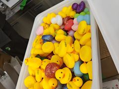 -LINLEE林里·手打柠檬茶(普陀新邻天地店)