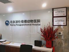-北京派仕佳德动物医院·超导核磁·CT·神经科·骨科·内外科·急重症管理中心
