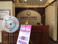-宠爱国际动物医院· 猫科· 外科·中兽医(长白店)