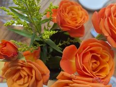 -六阅·福十 FORTEN 海景咖啡西餐厅(双廊古镇店)