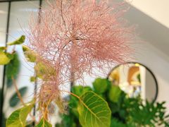 -森野花艺培训·企业团建活动沙龙