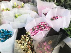 -溪岸路花鸟市场