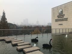 -行者书屋大堂吧 ·下午茶(南京圣和府邸酒店)